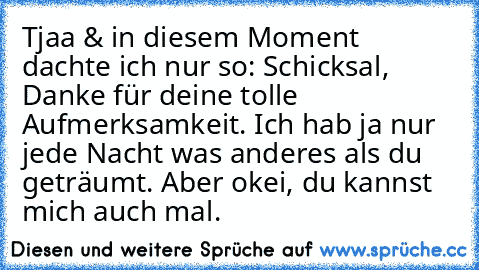 Tjaa & in diesem Moment dachte ich nur so: Schicksal, Danke für deine tolle Aufmerksamkeit. Ich hab ja nur jede Nacht was anderes als du geträumt. Aber okei, du kannst mich auch mal.