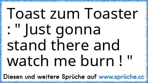 Toast zum Toaster : " Just gonna stand there and watch me burn ! "