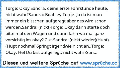 Torge: Okay Sandra, deine erste Fahrstunde heute, nicht wahr?
Sandra: Boah ey!
Torge: Ja da ist man immer ein bisschen aufgeregt aber des wird schon werden.
Sandra: (nickt)
Torge: Okay dann starte doch bitte mal den Wagen und dann fahn wa mal ganz vorsichtig los okay? Gut.
Sandra: (nickt wieder)
(Hupt). (Hupt nochmal)
Springt irgendwie nicht an..
Torge: Okay. He! Du bist aufgeregt, nicht wahr?
...