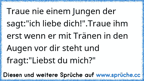 Traue nie einem Jungen der sagt:"ich liebe dich!".
Traue ihm erst wenn er mit Tränen in den Augen vor dir steht und fragt:"Liebst du mich?"