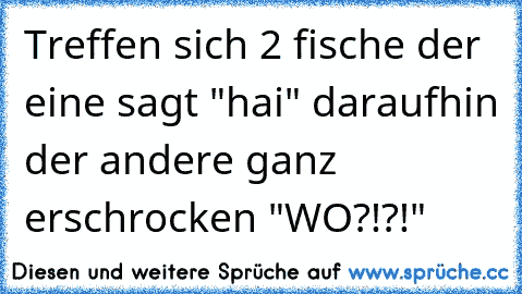 Treffen sich 2 fische der eine sagt "hai" daraufhin der andere ganz erschrocken "WO?!?!"