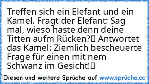 Treffen sich ein Elefant und ein Kamel. Fragt der Elefant: „Sag mal, wieso haste denn deine Titten auf‘m Rücken?“ Antwortet das Kamel: „Ziemlich bescheuerte Frage für einen mit ’nem Schwanz im Gesicht!“