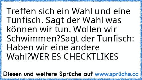 Treffen sich ein Wahl und eine Tunfisch. Sagt der Wahl was können wir tun. Wollen wir Schwimmen?
Sagt der Tunfisch: Haben wir eine andere Wahl?
WER ES CHECKT
LIKES ♥