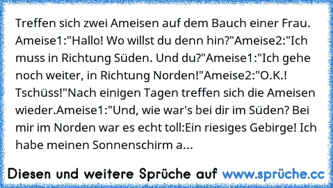 Treffen sich zwei Ameisen auf dem Bauch einer Frau. Ameise1:"Hallo! Wo willst du denn hin?"
Ameise2:"Ich muss in Richtung Süden. Und du?"
Ameise1:"Ich gehe noch weiter, in Richtung Norden!"
Ameise2:"O.K.! Tschüss!"
Nach einigen Tagen treffen sich die Ameisen wieder.
Ameise1:"Und, wie war's bei dir im Süden? Bei mir im Norden war es echt toll:
Ein riesiges Gebirge! Ich habe meinen Sonnenschirm a...