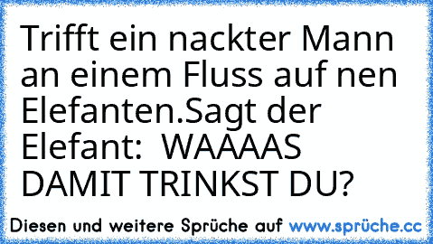 Trifft ein nackter Mann an einem Fluss auf nen Elefanten.
Sagt der Elefant: ´´ WAAAAS DAMIT TRINKST DU?´´