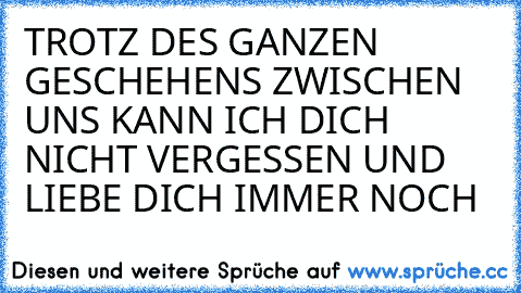 TROTZ DES GANZEN GESCHEHENS ZWISCHEN UNS KANN ICH DICH NICHT VERGESSEN UND LIEBE DICH IMMER NOCH