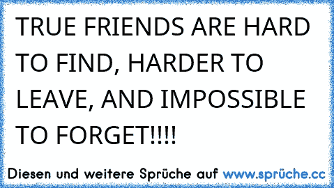 TRUE FRIENDS ARE HARD TO FIND, HARDER TO LEAVE, AND IMPOSSIBLE TO FORGET!!!!