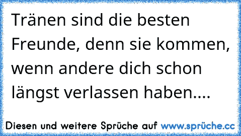 Tränen sind die besten Freunde, denn sie kommen, wenn andere dich schon längst verlassen haben....