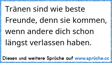 Tränen sind wie beste Freunde, denn sie kommen, wenn andere dich schon längst verlassen haben.