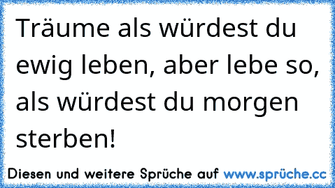 Träume als würdest du ewig leben, aber lebe so, als würdest du morgen sterben!