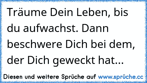 Träume Dein Leben, bis du aufwachst. Dann beschwere Dich bei dem, der Dich geweckt hat...