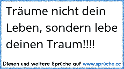 Träume nicht dein Leben, sondern lebe deinen Traum!!!! ♥ ♥ ♫ ♫ ♫