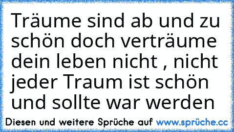 Träume sind ab und zu schön doch verträume dein leben nicht , nicht jeder Traum ist schön und sollte war werden