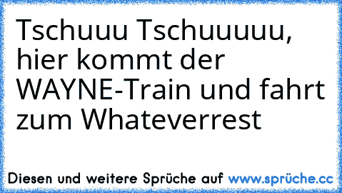 Tschuuu Tschuuuuu, hier kommt der WAYNE-Train und fahrt zum Whateverrest