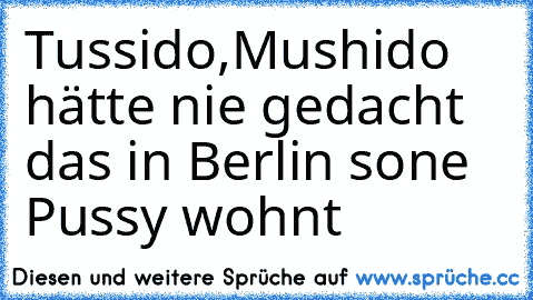 Tussido,Mushido hätte nie gedacht das in Berlin sone Pussy wohnt