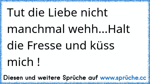 Tut die Liebe nicht manchmal wehh...Halt die Fresse und küss mich !