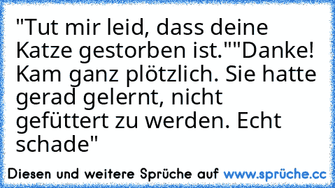 "Tut mir leid, dass deine Katze gestorben ist."
"Danke! Kam ganz plötzlich. Sie hatte gerad gelernt, nicht gefüttert zu werden. Echt schade"