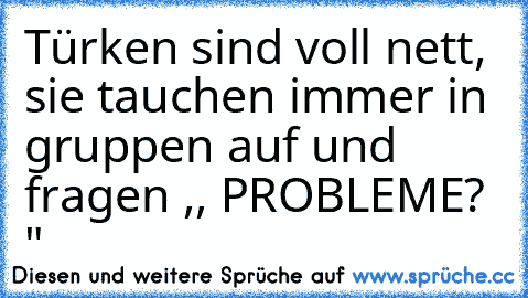 Türken sind voll nett, sie tauchen immer in gruppen auf und fragen ,, PROBLEME? "