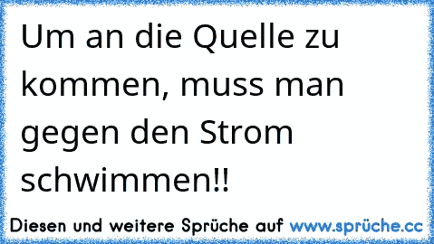 Um an die Quelle zu kommen, muss man gegen den Strom schwimmen!!