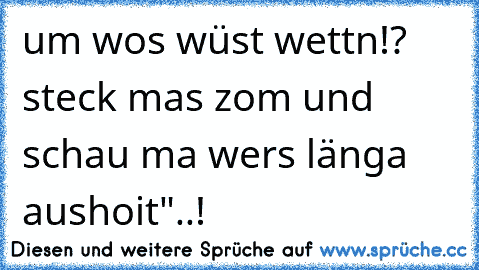 um wos wüst wettn!? steck mas zom und schau ma wers länga aushoit"..!