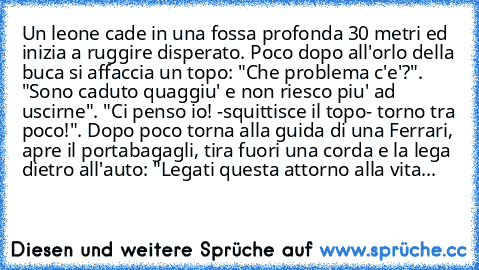 Un leone cade in una fossa profonda 30 metri ed inizia a ruggire disperato. Poco dopo all'orlo della buca si affaccia un topo: "Che problema c'e'?". "Sono caduto quaggiu' e non riesco piu' ad uscirne". "Ci penso io! -squittisce il topo- torno tra poco!". Dopo poco torna alla guida di una Ferrari, apre il portabagagli, tira fuori una corda e la lega dietro all'auto: "Legati questa attorno alla vita...