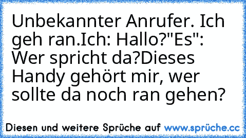 Unbekannter Anrufer. Ich geh ran.
Ich: Hallo?
"Es": Wer spricht da?
Dieses Handy gehört mir, wer sollte da noch ran gehen?