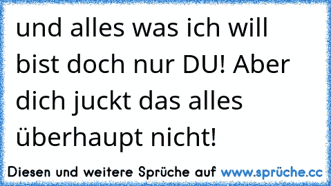 und alles was ich will bist doch nur DU! Aber dich juckt das alles überhaupt nicht!