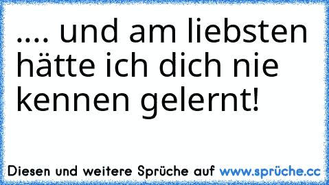 .... und am liebsten hätte ich dich nie kennen gelernt!