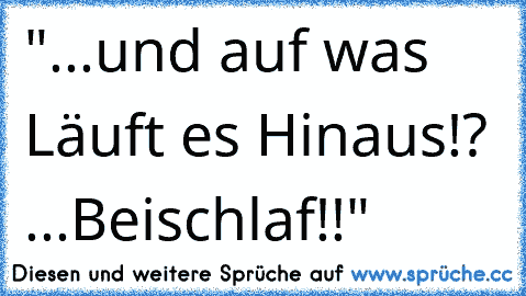 "...und auf was Läuft es Hinaus!? ...Beischlaf!!"