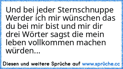 Und bei jeder Sternschnuppe Werder ich mir wünschen das du bei mir bist und mir dir drei Wörter sagst die mein leben vollkommen machen würden...