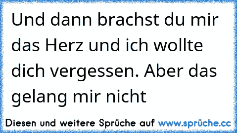 Und dann brachst du mir das Herz und ich wollte dich vergessen. Aber das gelang mir nicht ♥