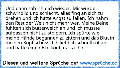 Und dann sah ich dich wieder. Mir wurde schwindlig und schlecht, alles fing an sich zu drehen und ich hatte Angst zu fallen. Ich nahm den Rest der Welt nicht mehr war. Meine Beine fühlten sich butterweich an und ich musste aufpassen nicht zu stolpern. Ich spürte wie meine Hände begannen zu zittern und das Blut in meinen Kopf schoss. Ich lief blitzschnell rot an und hatte einen Blackout, dass ic...