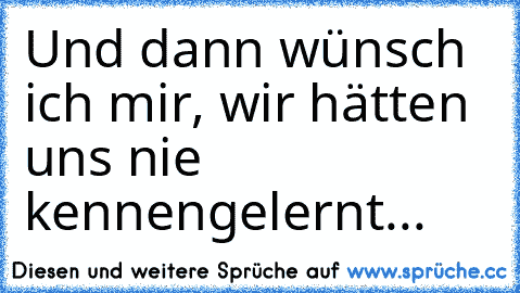 Und dann wünsch ich mir, wir hätten uns nie kennengelernt...