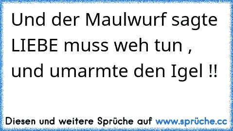 Und der Maulwurf sagte LIEBE muss weh tun , und umarmte den Igel !!