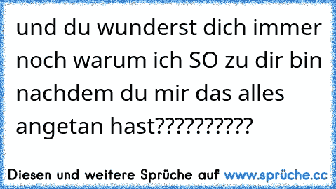 und du wunderst dich immer noch warum ich SO zu dir bin nachdem du mir das alles angetan hast??????????