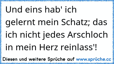 Und eins hab' ich gelernt mein Schatz; das ich nicht jedes Arschloch in mein Herz reinlass'!