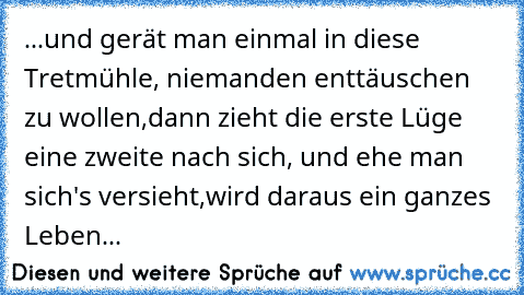 ...und gerät man einmal in diese Tretmühle, niemanden enttäuschen zu wollen,
dann zieht die erste Lüge eine zweite nach sich, und ehe man sich's versieht,
wird daraus ein ganzes Leben...