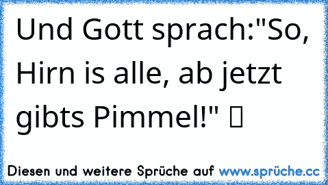 Und Gott sprach:"So, Hirn is alle, ab jetzt gibts Pimmel!" ツ