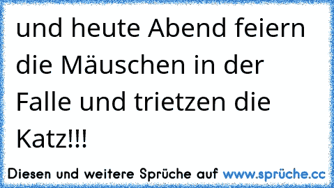 und heute Abend feiern die Mäuschen in der Falle und trietzen die Katz!!!