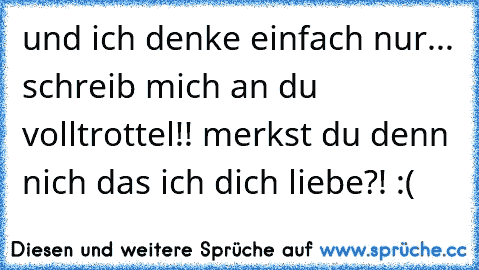 und ich denke einfach nur... schreib mich an du volltrottel!! merkst du denn nich das ich dich liebe?! :(