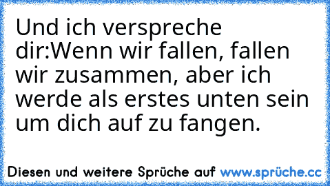 Und ich verspreche dir:
Wenn wir fallen, fallen wir zusammen, aber ich werde als erstes unten sein um dich auf zu fangen.
