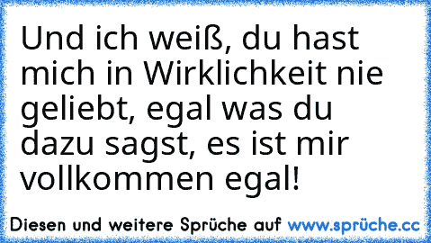 Und ich weiß, du hast mich in Wirklichkeit nie geliebt, egal was du dazu sagst, es ist mir vollkommen egal!