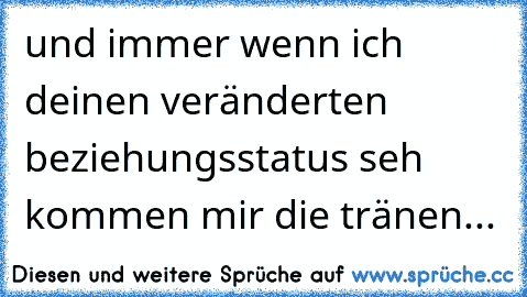 und immer wenn ich deinen veränderten beziehungsstatus seh kommen mir die tränen...