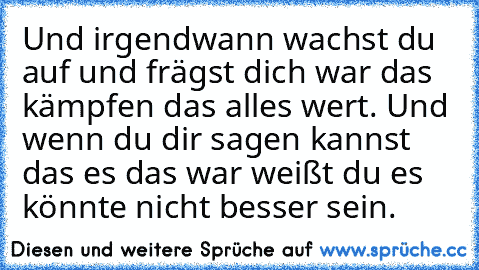 Und irgendwann wachst du auf und frägst dich war das kämpfen das alles wert. Und wenn du dir sagen kannst das es das war weißt du es könnte nicht besser sein.