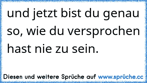 und jetzt bist du genau so, wie du versprochen hast nie zu sein.