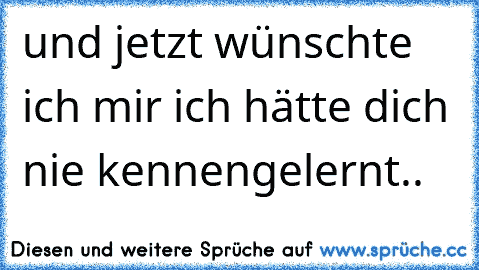 und jetzt wünschte ich mir ich hätte dich nie kennengelernt.. 