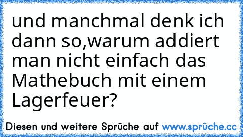 und manchmal denk ich dann so,warum addiert man nicht einfach das Mathebuch mit einem Lagerfeuer?