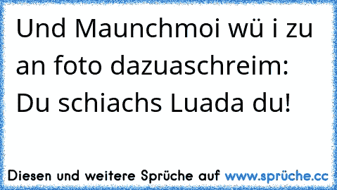 Und Maunchmoi wü i zu an foto dazuaschreim: Du schiachs Luada du!