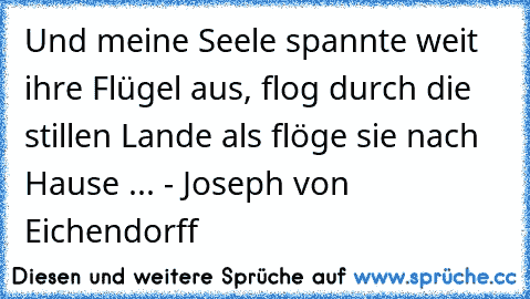 Und meine Seele spannte weit ihre Flügel aus, flog durch die stillen Lande als flöge sie nach Hause ... - Joseph von Eichendorff