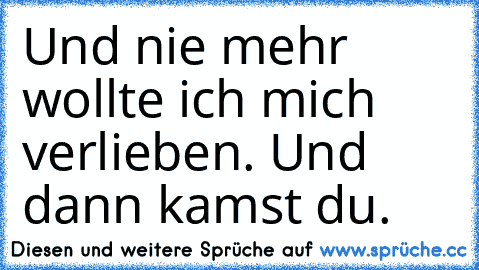 Und nie mehr wollte ich mich verlieben. Und dann kamst du.